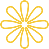 Expert Solutions for Corporate  Financial Success. - 蓝鲸体育直播APP