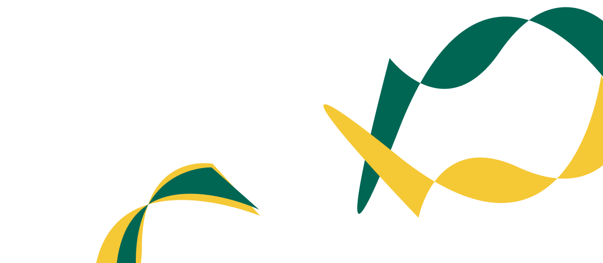 Expert Solutions for Corporate  Financial Success. - 蓝鲸体育直播APP