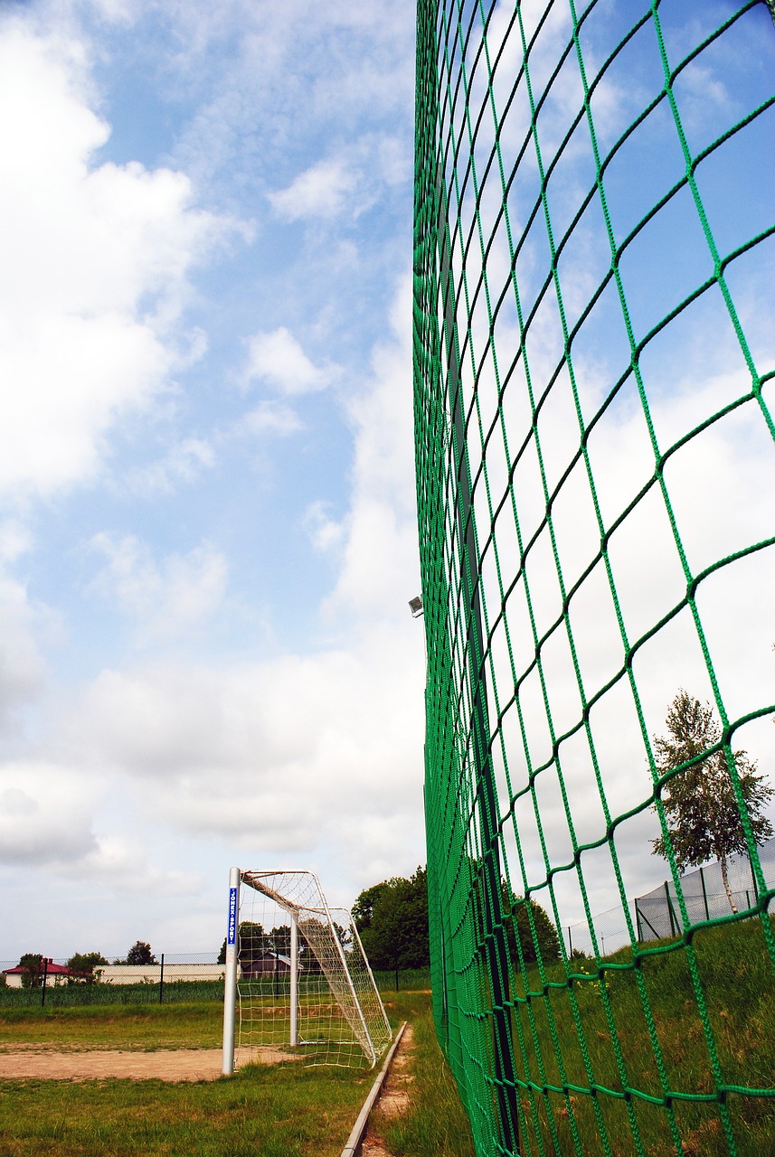 仅再度验证 仅再度验证