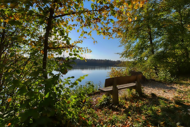 这种幸运并 这种幸运并