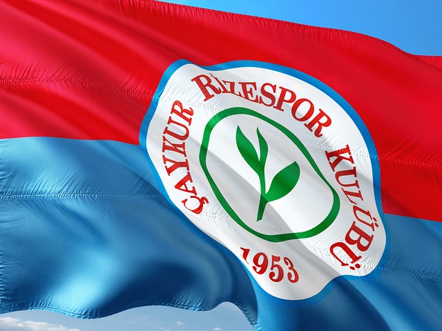 穆里略的加 穆里略的加