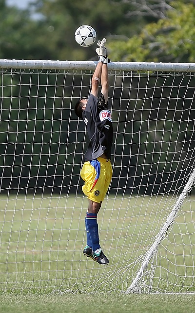 由前锋詹姆 由前锋詹姆