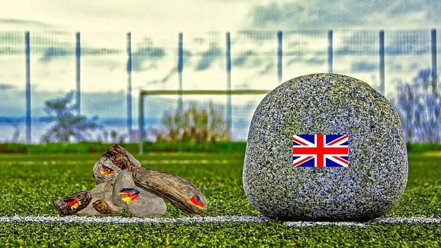 的运用就能 的运用就能