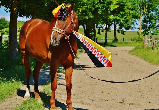 作为全球体 作为全球体