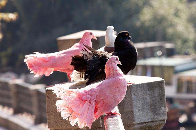直接相关 直接相关