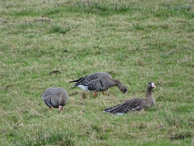 通过这种接 通过这种接
