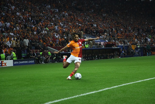 持沉着与精 持沉着与精