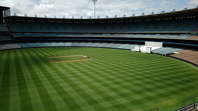 团队与文化 团队与文化