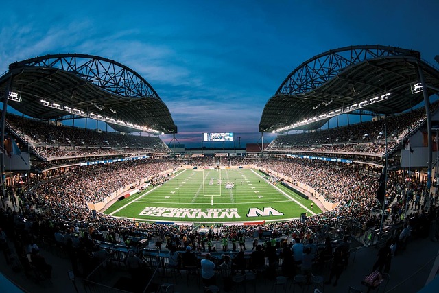 支持团队 支持团队