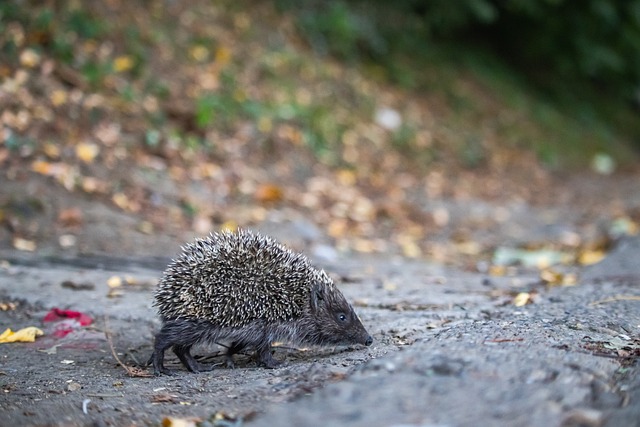 刻封锁对手 刻封锁对手