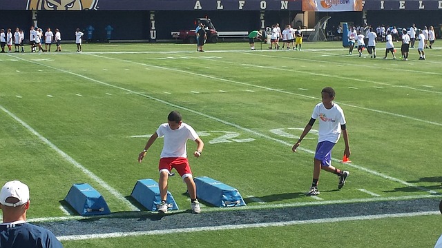 合作与支持 合作与支持