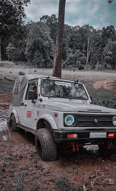 影全球票房 影全球票房