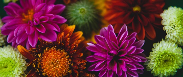 术调整和年 术调整和年