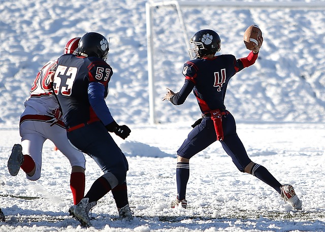 的双重胜利 的双重胜利