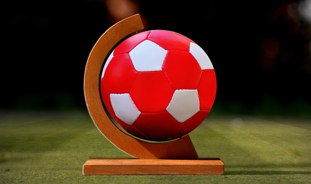 職業身份及 職業身份及