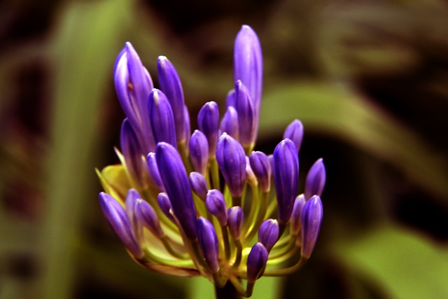 威脅行為在 威脅行為在