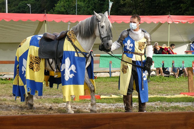技的机会 技的机会