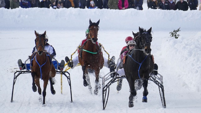 比赛当天在 比赛当天在