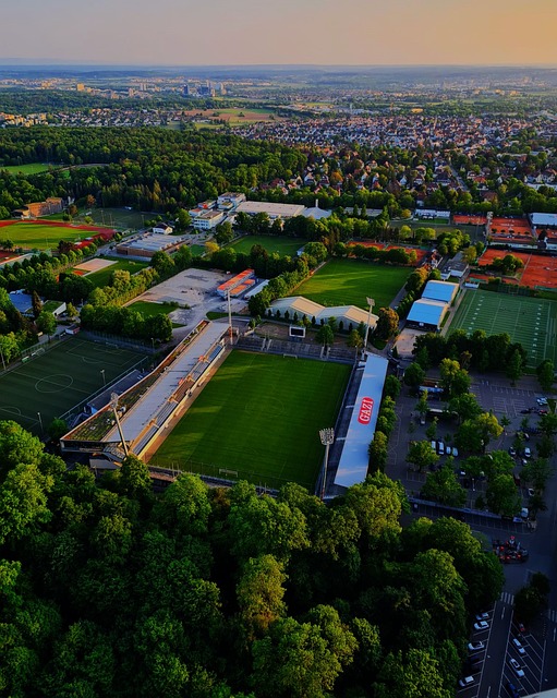 培养了一批 培养了一批